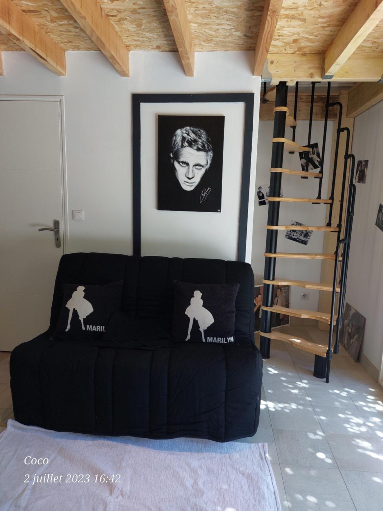 Dormir A Montauban Logements Carreyrat Calme Et Verdoyant Exterior foto